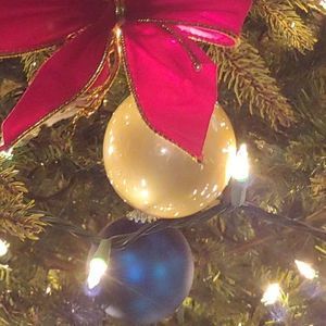 Meet your Posher, Janis